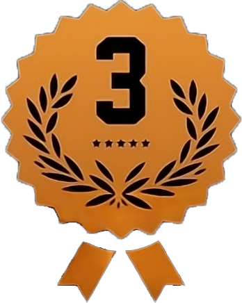 3rd place medal